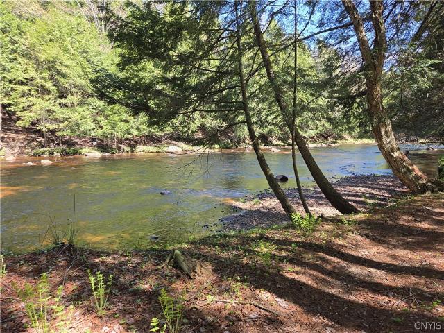 Land for sale in Brantingham, New York