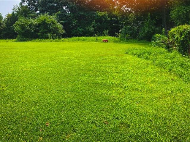 Land for sale in Virginia