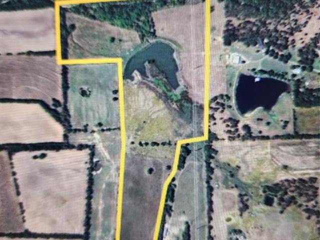 Land for sale in Blue Ridge, Texas