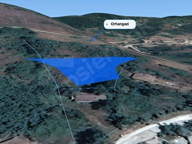 Yiğilca, Düzce içerisinde satılık mülk