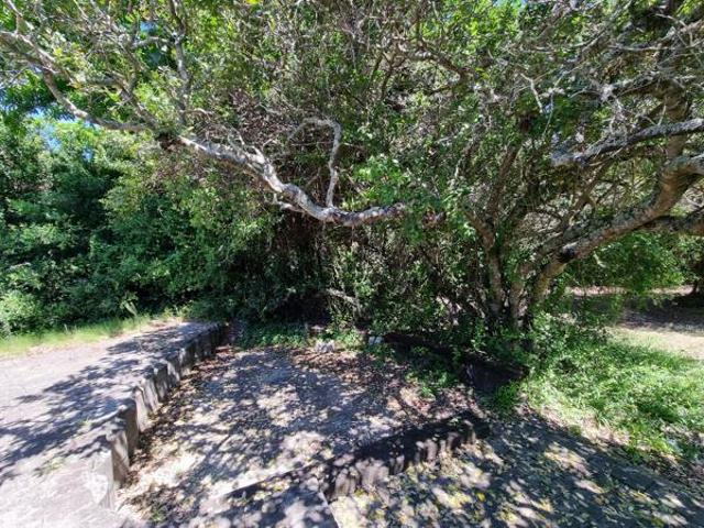 Land for sale in Eastern Cape