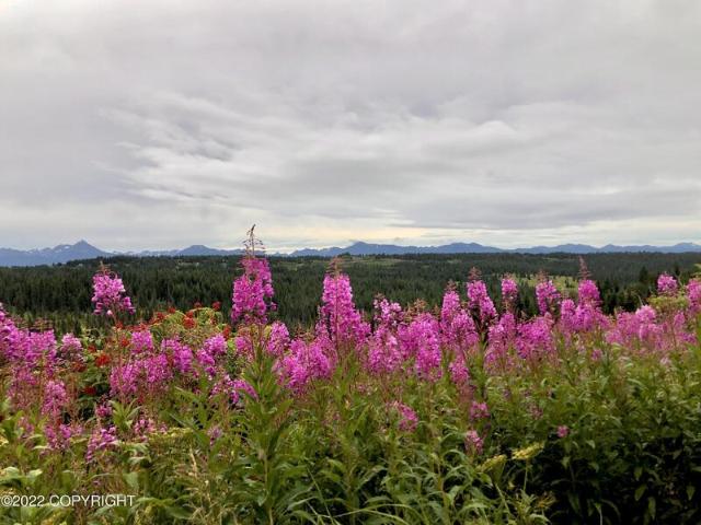 Land for sale in Homer