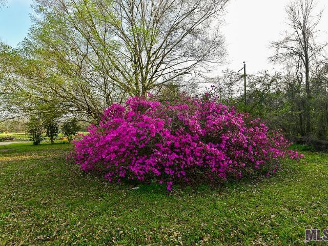Land for sale in Carville, Louisiana