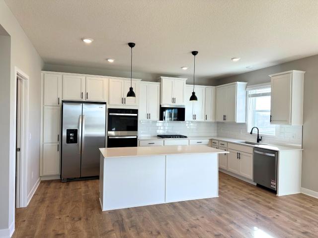 House for sale in Cottage Grove, Minnesota