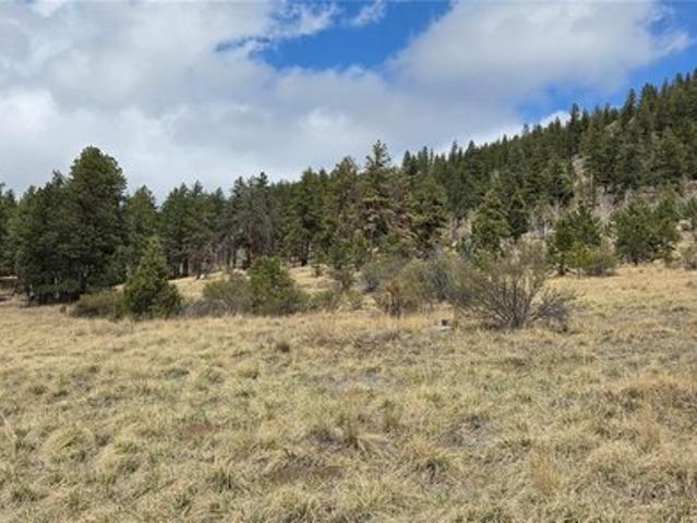 Land for sale in Bailey, Colorado