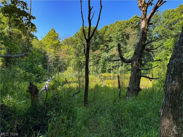 Land for sale in Guernsey, Ohio