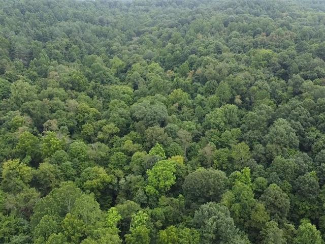 Land for sale in Noble, Ohio