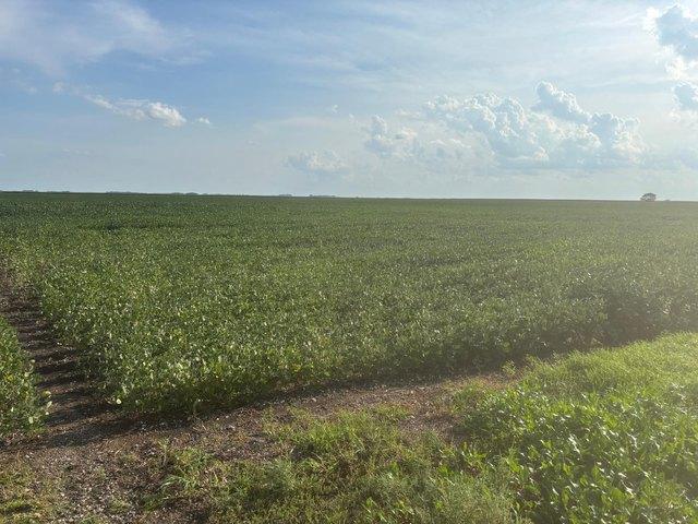 Land for sale in Chokio, Minnesota