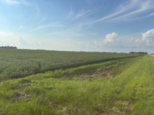 Land for sale in Chokio, Minnesota