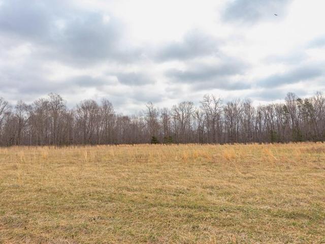 Land for sale in Rougemont, North Carolina