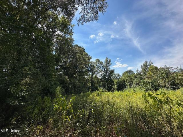 Land for sale in Hickory, Mississippi