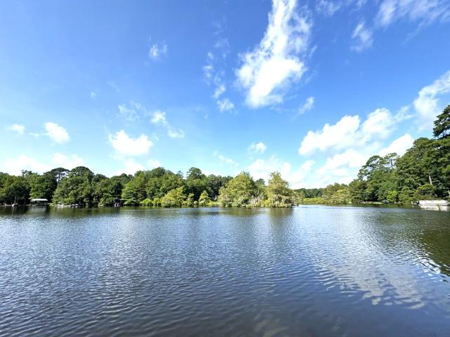 House for sale in Colmesneil, Texas
