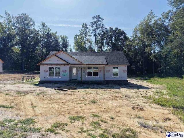 House for sale in Pamplico, Florence County