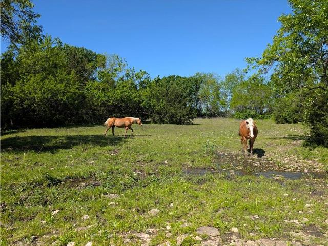 Land for sale in Kansas