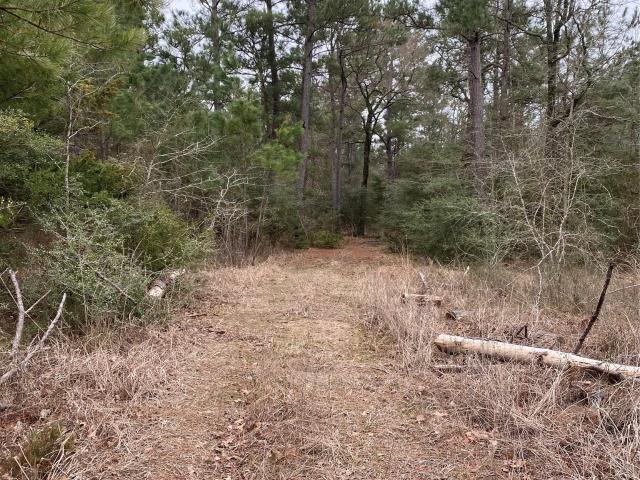 Land for sale in Lovelady, Texas