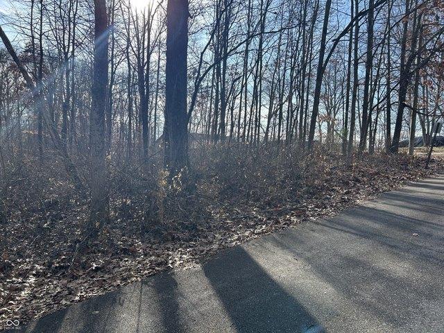 Land for sale in Nineveh, Indiana