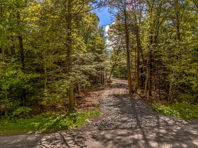 Land for sale in East Jewett, New York