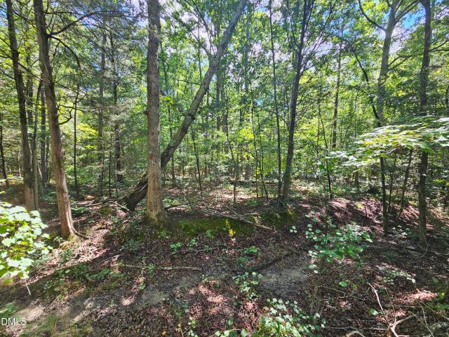 Land for sale in Chatham, North Carolina