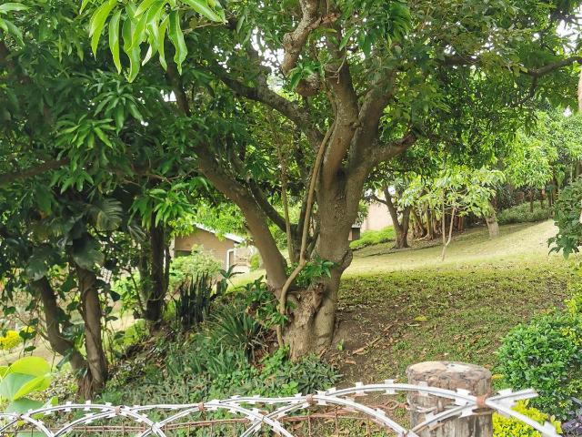 Land for sale in Durban