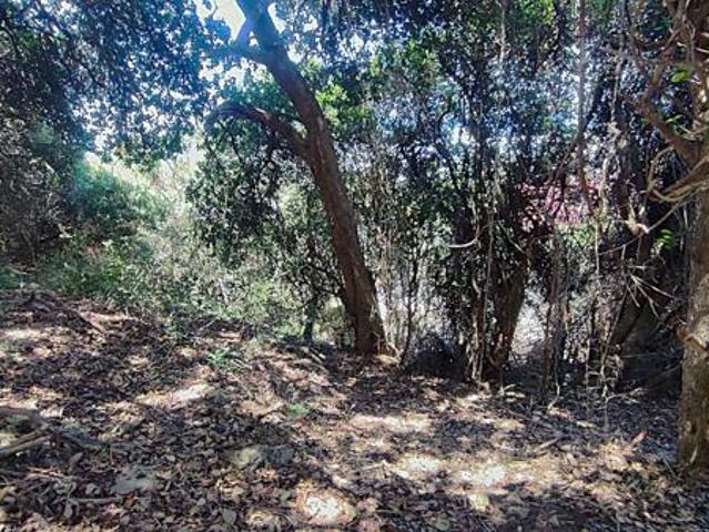Land for sale in Groot Brak Rivier, Western Cape