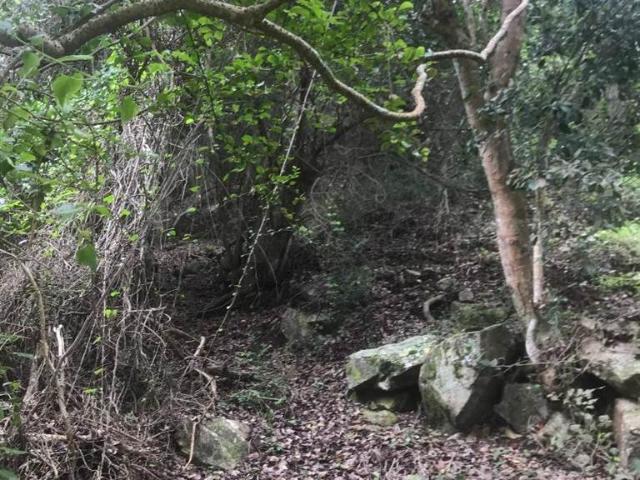 Land for sale in Groot Brak Rivier, Western Cape