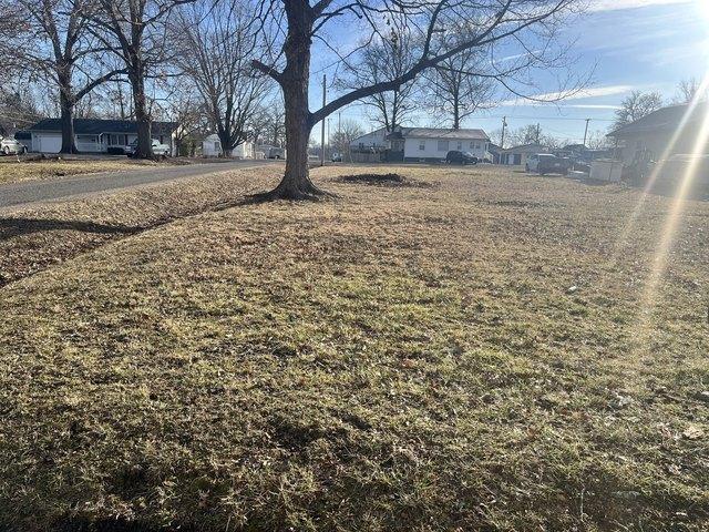 Land for sale in Kell, Illinois