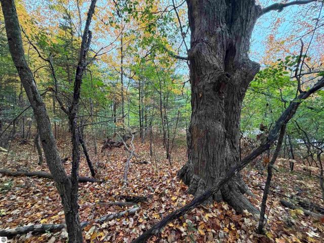 Land for sale in East Jordan, Charlevoix County
