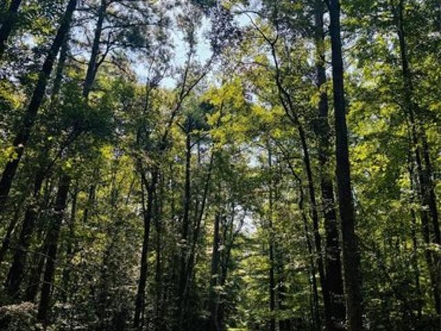 Land for sale in Marion, Texas