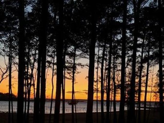 House for sale in Broaddus, Texas