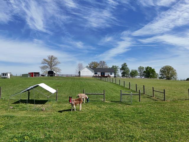 House for sale in Tennessee