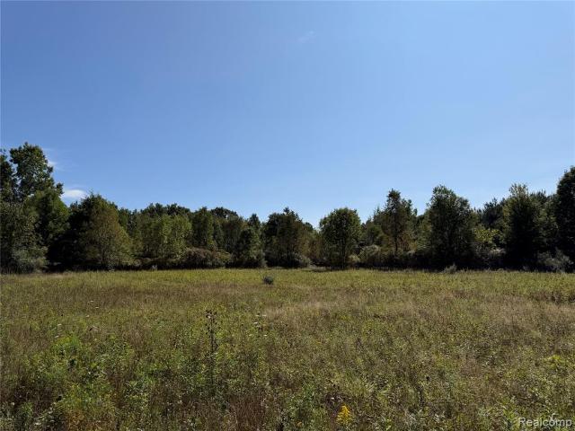 Land for sale in Michigan