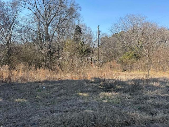 Land for sale in Roanoke, Alabama