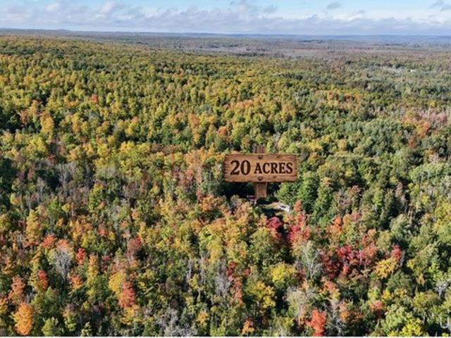 Land for sale in Skandia, West Branch Township