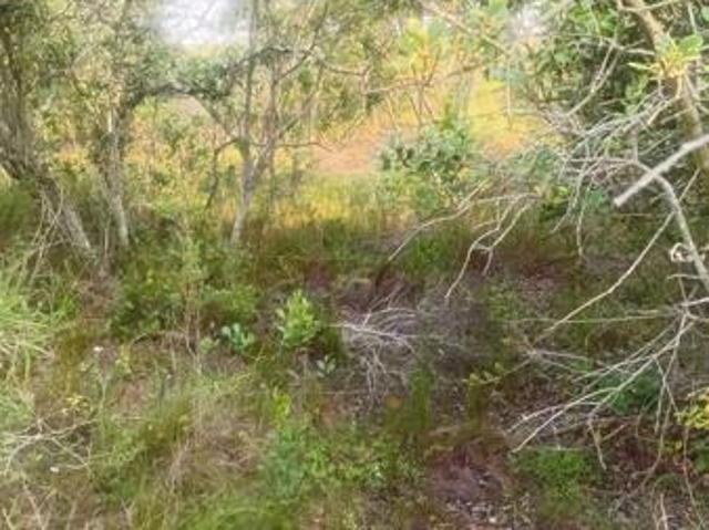 Land for sale in Eastern Cape