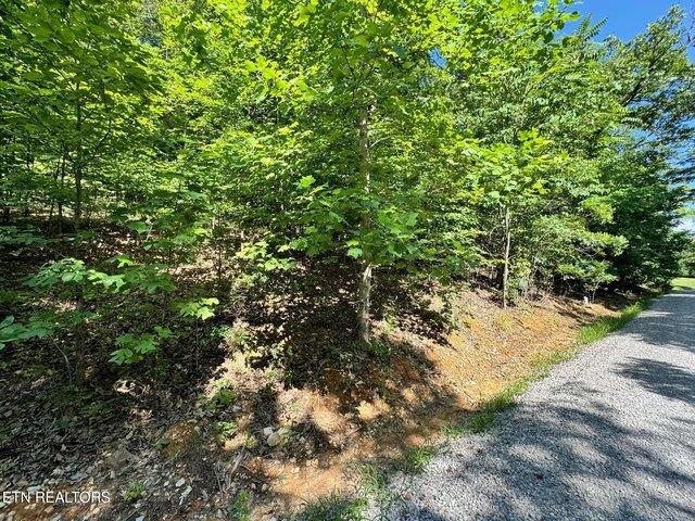 Land for sale in Tennessee