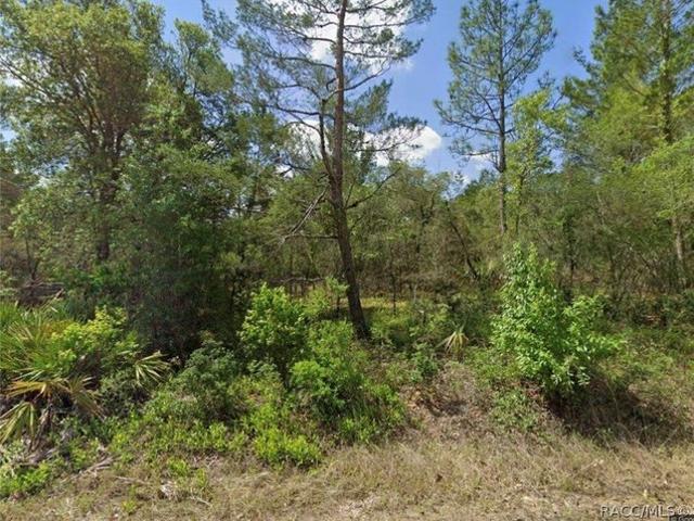 Land for sale in Dunnellon, Marion County