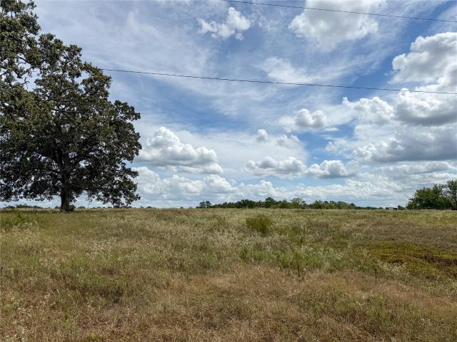 Land for sale in Blackberry, Plantersville