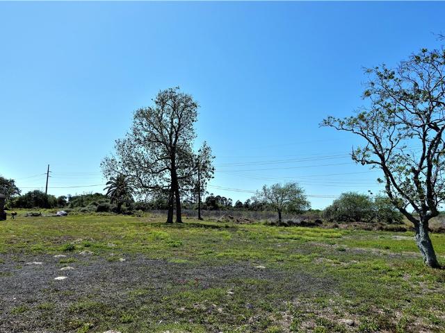Land for sale in San Patricio, Texas