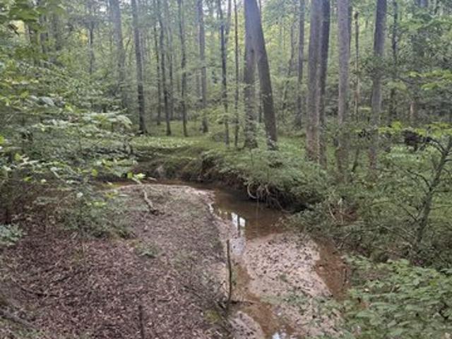 Land for sale in Honea Path, Anderson County