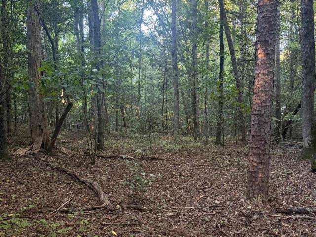 Land for sale in Honea Path, Greenville County