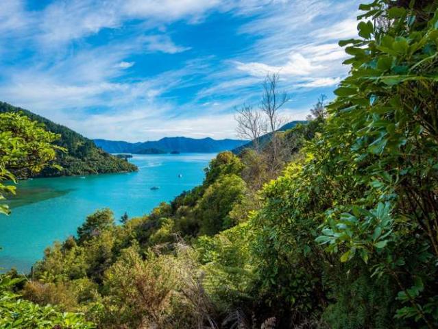 Land for sale in Marlborough