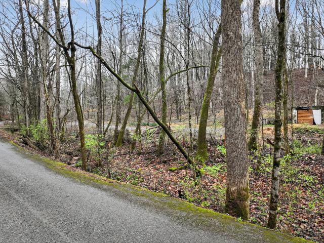 Land for sale in Tennessee