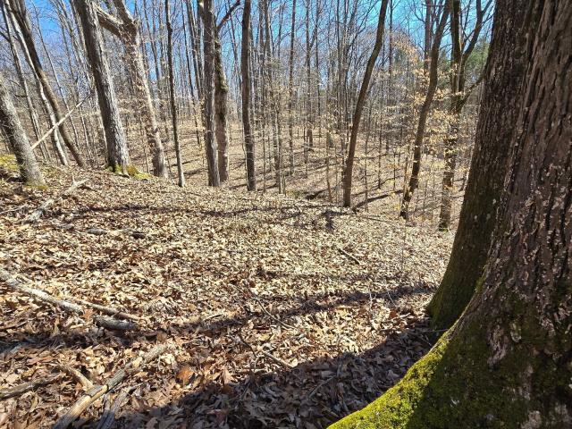 Land for sale in Tennessee