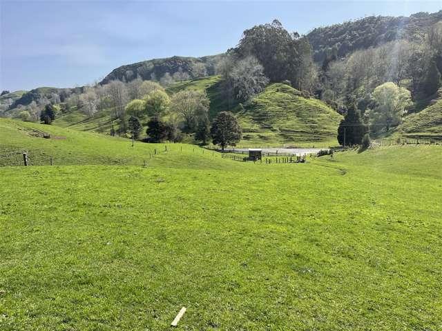 Property for sale in Otorohanga, Waikato