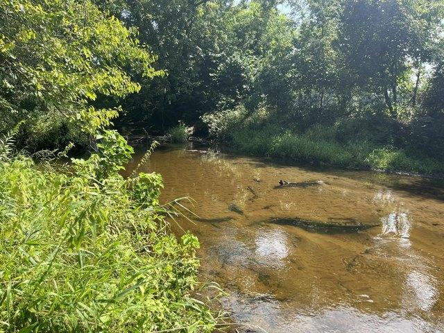 Land for sale in Knox, Indiana
