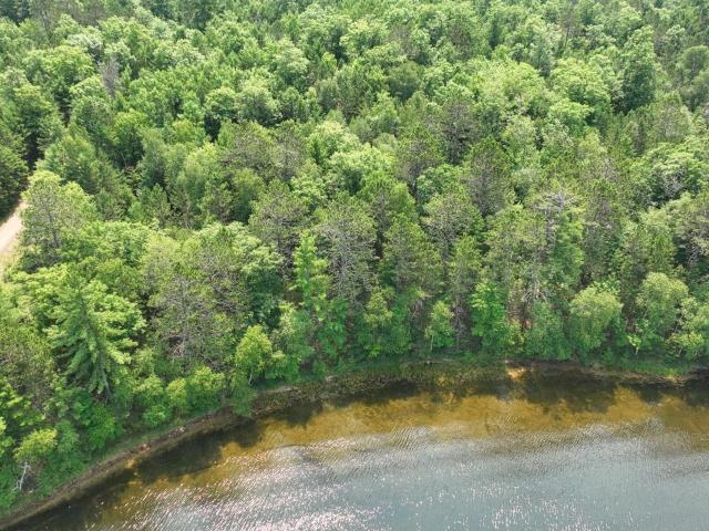 Land for sale in Town of Cloverland, Vilas County