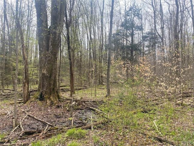 Land for sale in Caneadea, New York