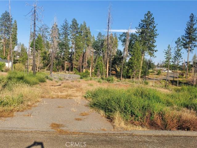 Land for sale in Butte, California