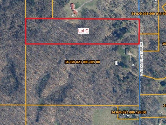 Land for sale in Ionia, Michigan