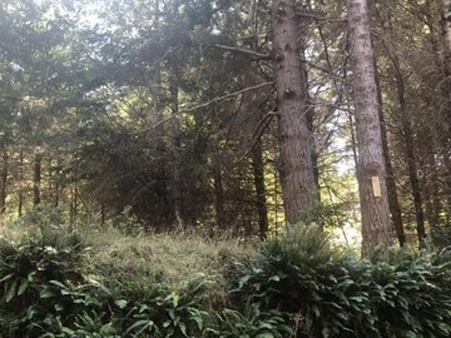 Land for sale in Shelter Cove, Humboldt County